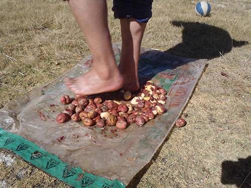 Món ăn nhìn như cục đá, muốn thưởng thức phải dùng chân giẫm đạp-3