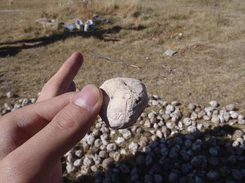 Món ăn nhìn như cục đá, muốn thưởng thức phải dùng chân giẫm đạp-5