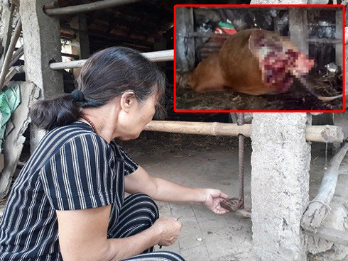 Xe Mazda lộn nhiều vòng rồi lật ngửa trên cầu Nhật Tân, nữ tài xế nguy kịch-2