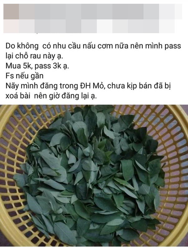 Vụ tố bán hàng online hài nhất hôm nay: Cô nàng mua rau ngót 5k bán lại 3k, đã thế rau còn không y hình-2