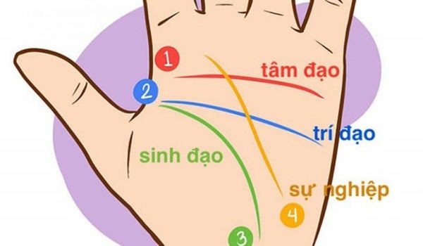 Xem chỉ tay hiếm gặp, không sớm thì muộn cũng phát tài-1