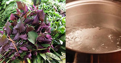 Chạy ngay ra chợ mua nắm lá tía tô, bạn sẽ có làn da trắng hồng chẳng cần kem trộn!-2