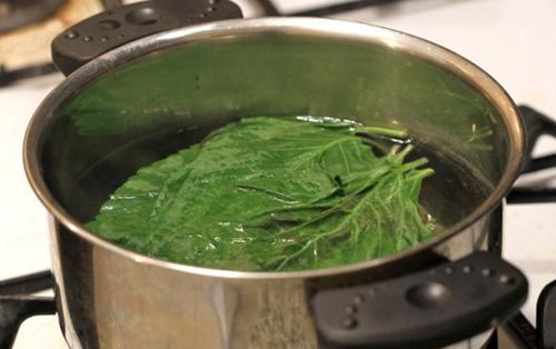 Chạy ngay ra chợ mua nắm lá tía tô, bạn sẽ có làn da trắng hồng chẳng cần kem trộn!-4