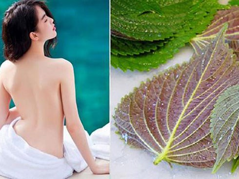 Chạy ngay ra chợ mua nắm lá tía tô, bạn sẽ có làn da trắng hồng chẳng cần kem trộn!