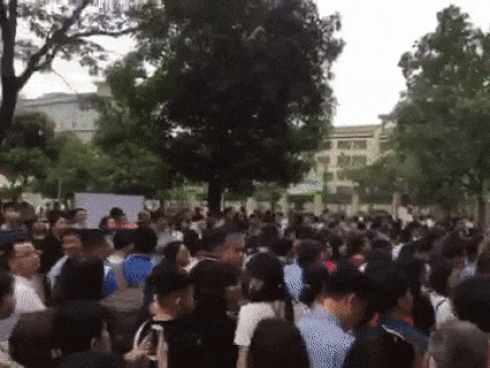 Choáng với học bạ toàn điểm 10 ở danh sách thi lớp 6 trường Ams-4