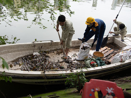 Hà Nội: Cá chết trắng trên hồ Văn Chương, người dân đau đầu vì mùi hôi nồng nặc