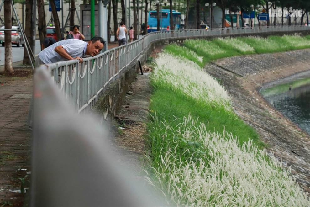 Nước sông Tô Lịch đổi màu từ đen sang nâu: Được thế là may rồi!-5