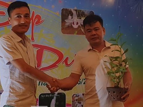 Giò lan “Người đẹp Bình Dương” hàng chục tỷ đồng được bán về Thái Bình
