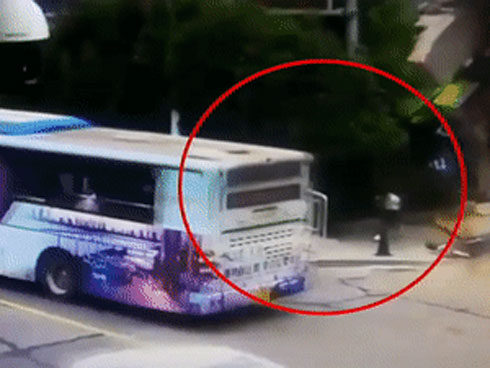 Khoảnh khắc cần cẩu cao 100 m đổ sập đè chết người điều khiển-1