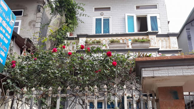 Chỉ 70 triệu, vợ chồng tôi sở hữu nhà vườn 100m2 ở Thủ đô-2