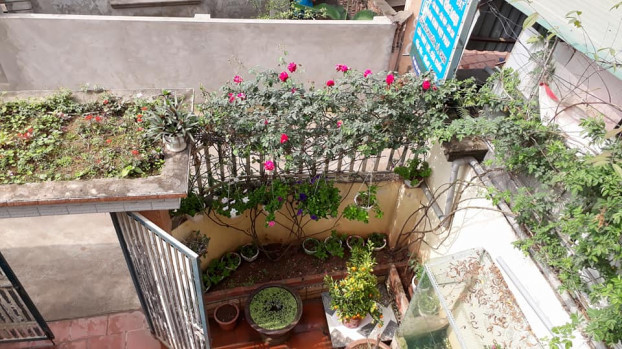 Chỉ 70 triệu, vợ chồng tôi sở hữu nhà vườn 100m2 ở Thủ đô-3