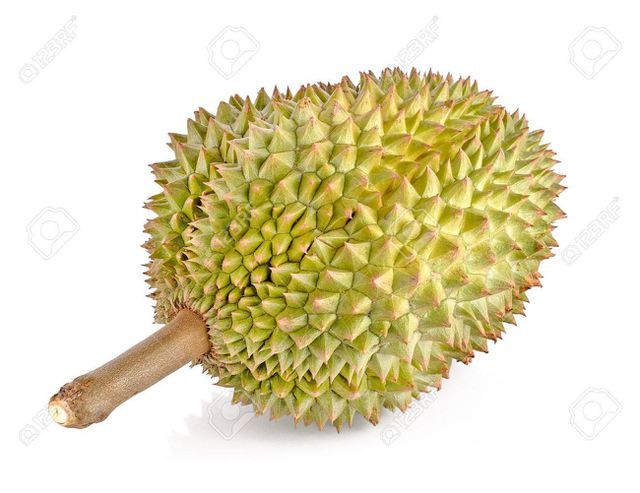 Đến nơi một trái sầu riêng có thể lên giá tới 730 triệu/trái-1