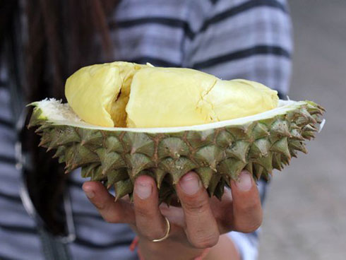 Sầu riêng rừng Campuchia rao 10.000 đồng nhưng bán tới 60.000 đồng/kg-3