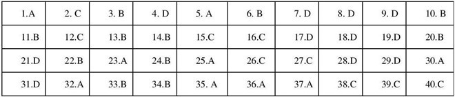 Đáp án đề thi môn Lịch sử lớp 10 tại Hà Nội năm 2019-1