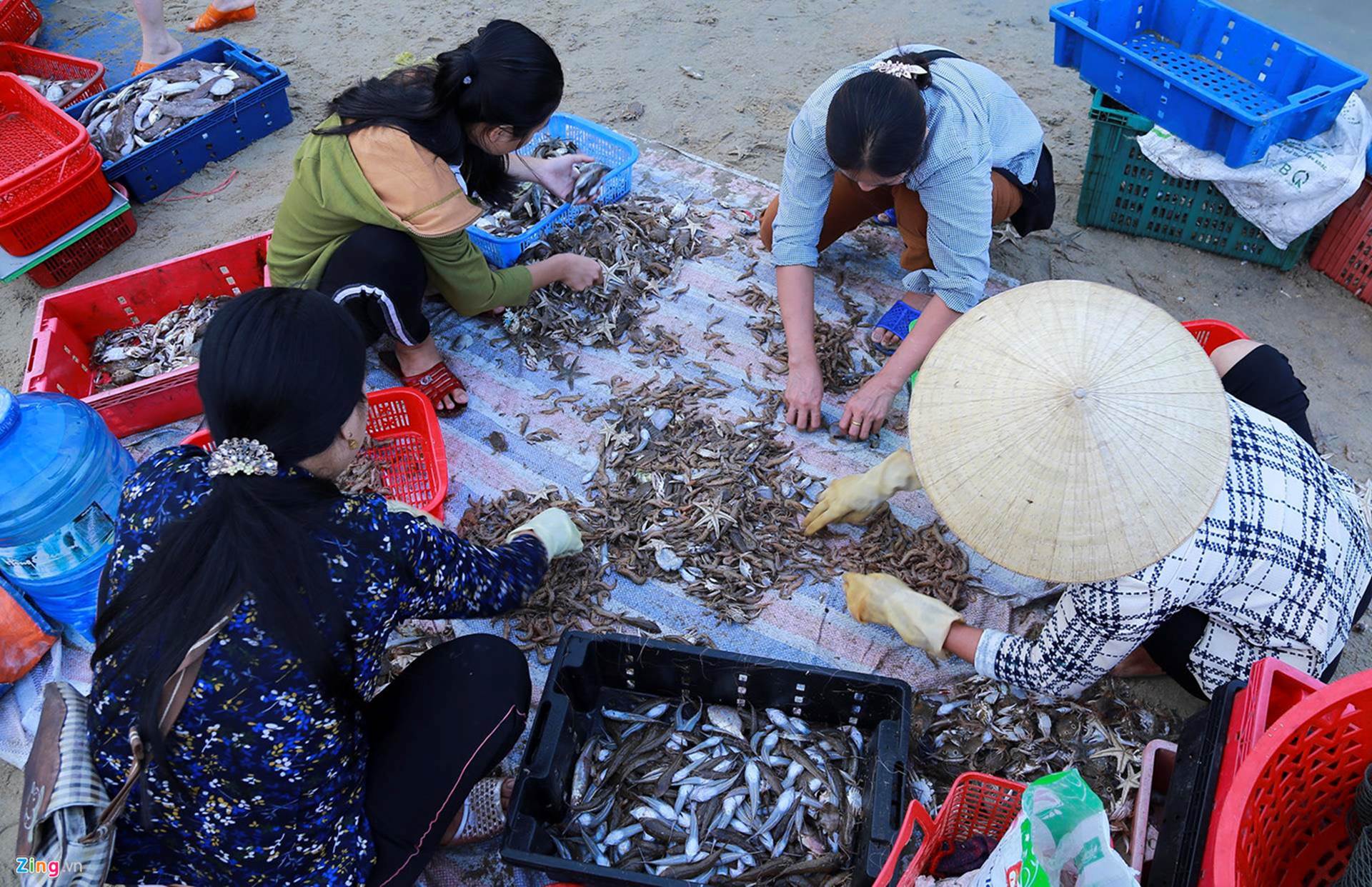 Soi đèn đi chợ hải sản Cồn Gò lúc tờ mờ sáng-10