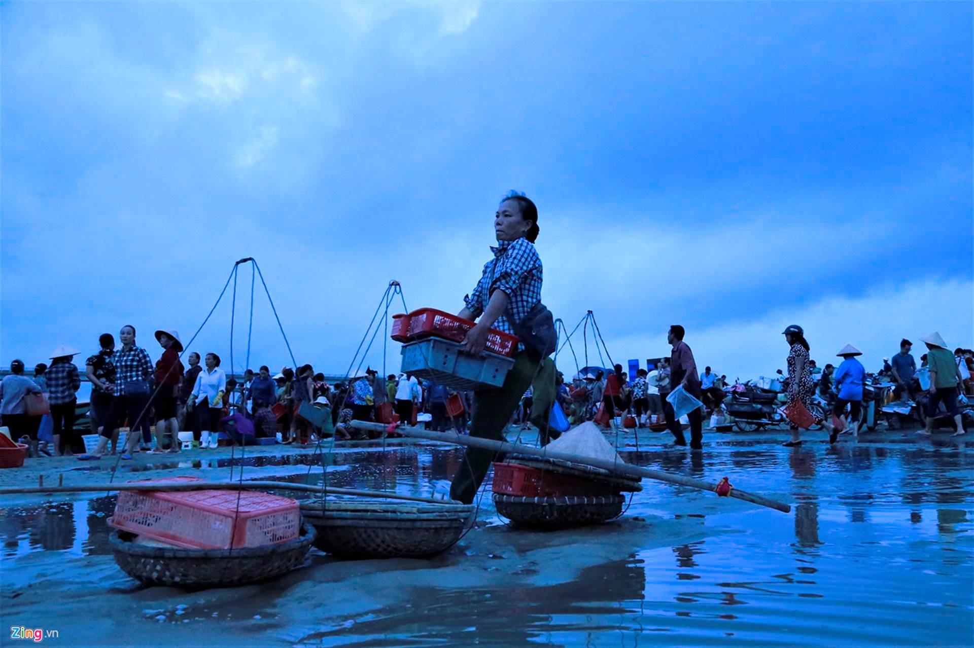 Soi đèn đi chợ hải sản Cồn Gò lúc tờ mờ sáng-11