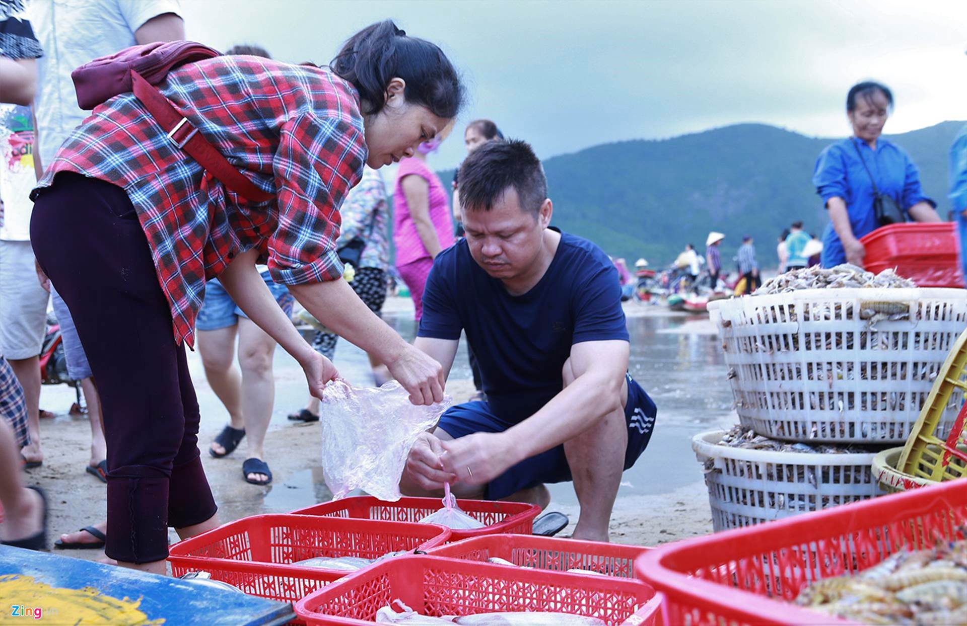 Soi đèn đi chợ hải sản Cồn Gò lúc tờ mờ sáng-13