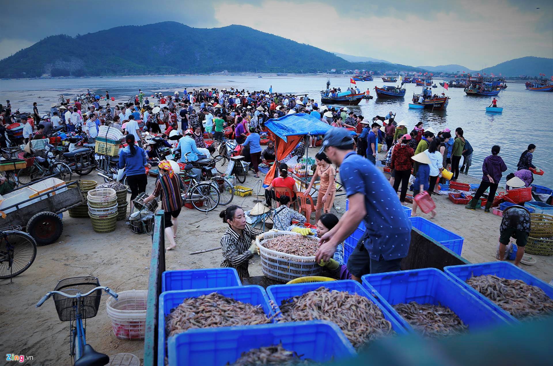 Soi đèn đi chợ hải sản Cồn Gò lúc tờ mờ sáng-15