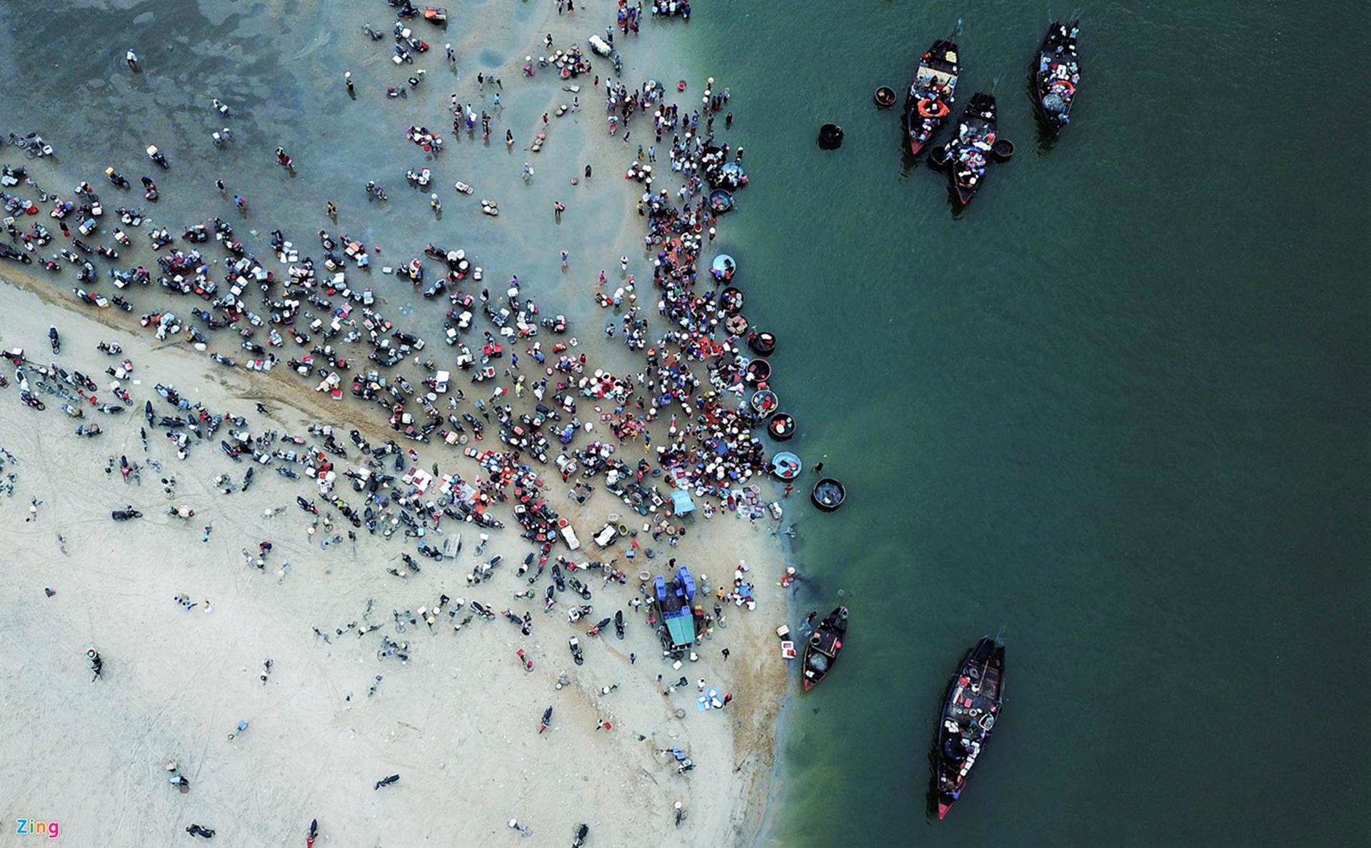 Soi đèn đi chợ hải sản Cồn Gò lúc tờ mờ sáng-4