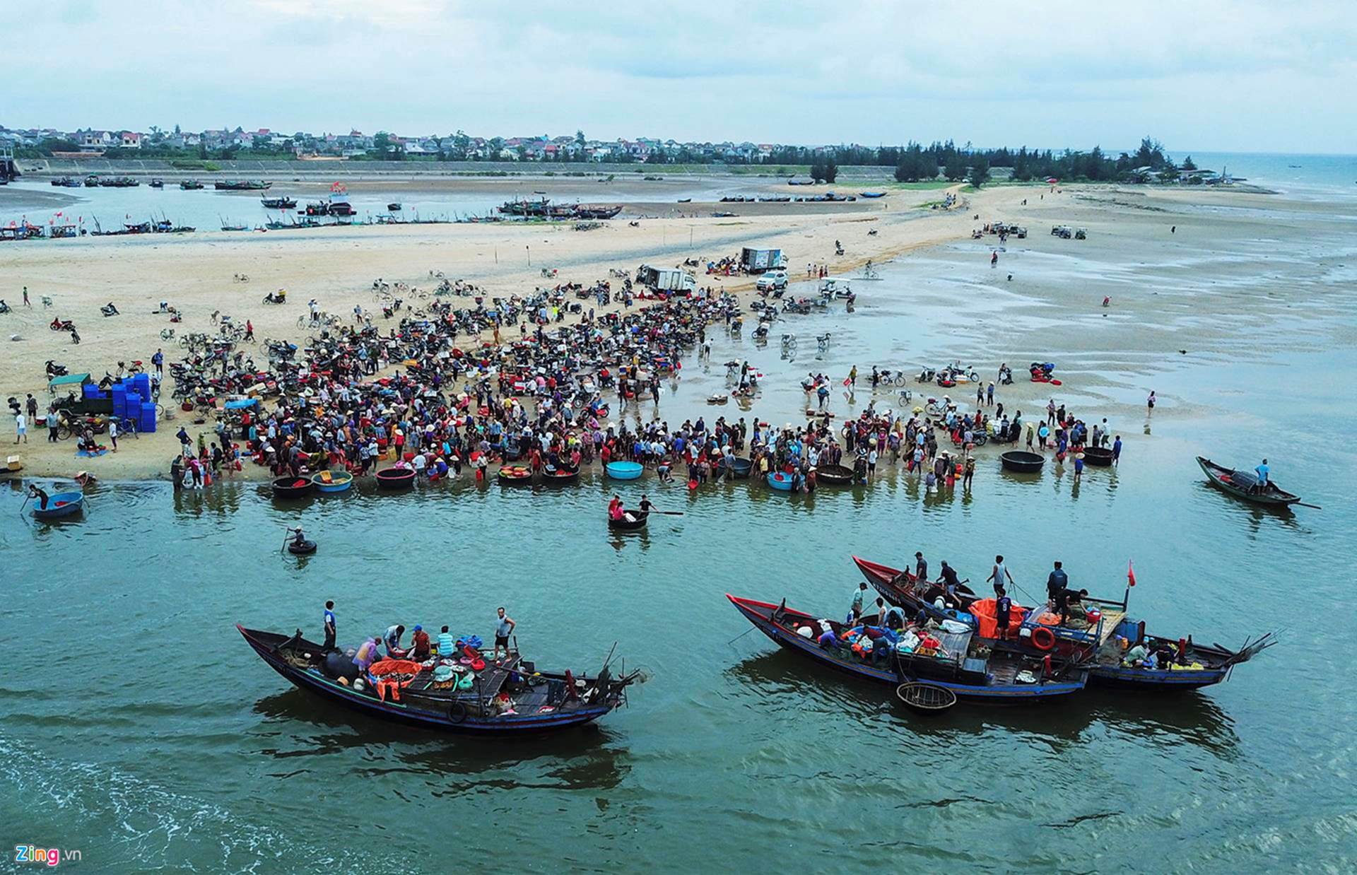 Soi đèn đi chợ hải sản Cồn Gò lúc tờ mờ sáng-5