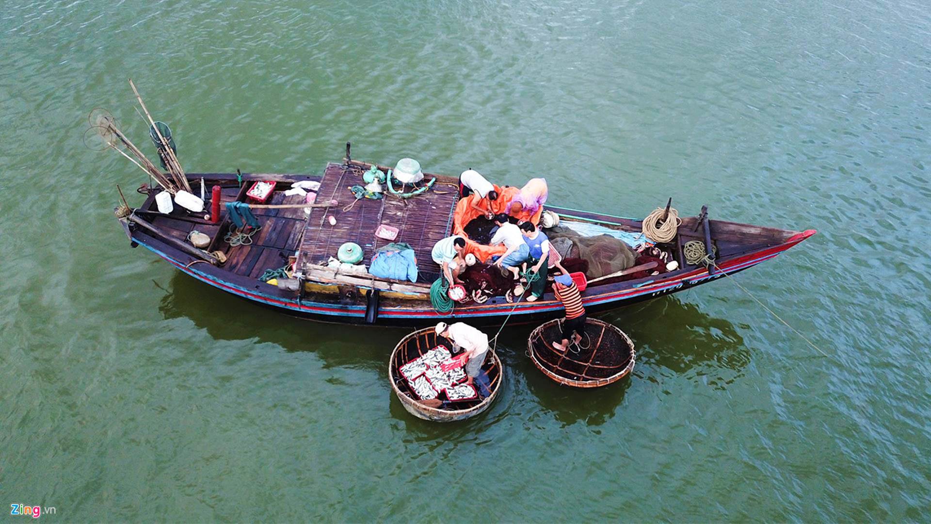 Soi đèn đi chợ hải sản Cồn Gò lúc tờ mờ sáng-6