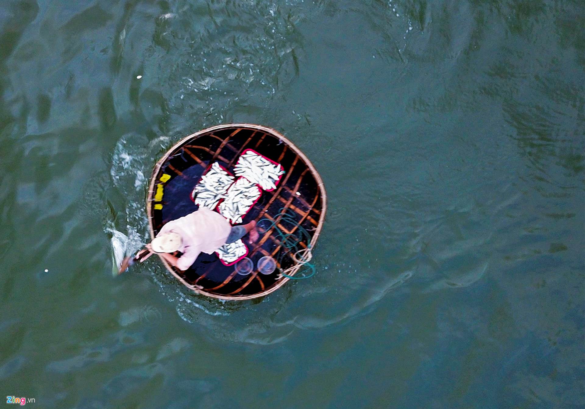 Soi đèn đi chợ hải sản Cồn Gò lúc tờ mờ sáng-7