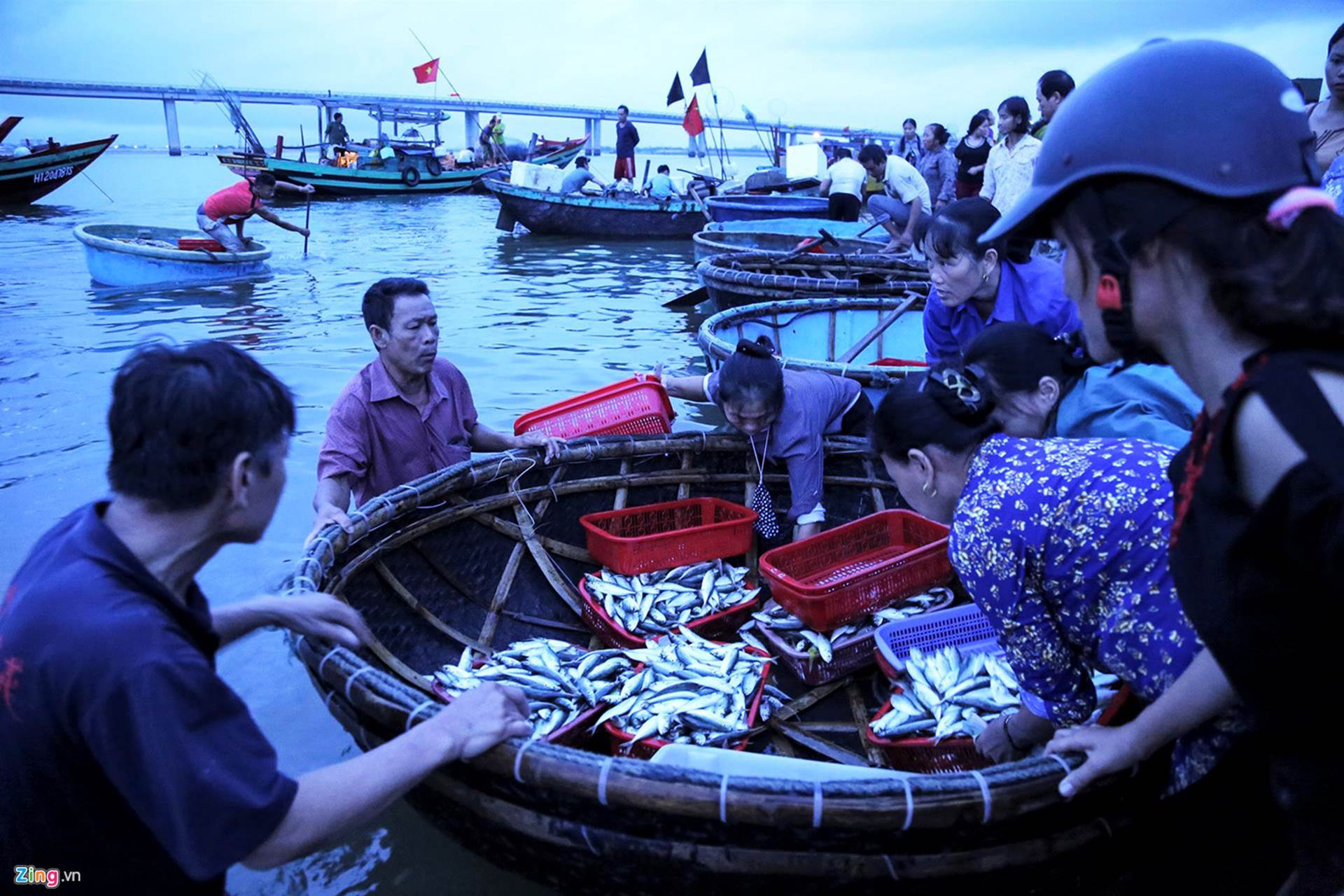 Soi đèn đi chợ hải sản Cồn Gò lúc tờ mờ sáng-8