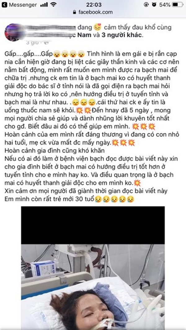 Tự ý điều trị khi bị rắn độc cắn, cô gái nguy kịch tính mạng: Chuyên gia chỉ cách sơ cứu và điều trị rắn cắn-1