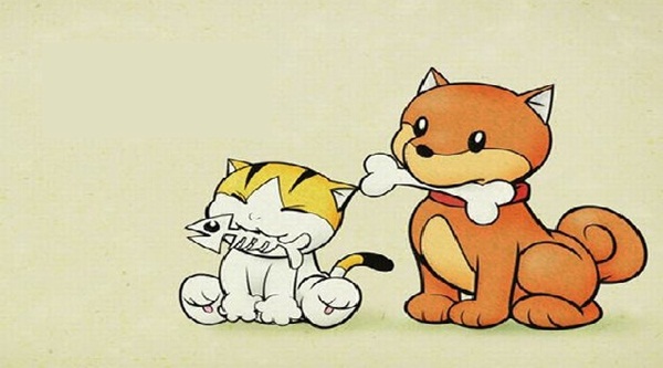 3 con giáp rơi vào tình trạng thèm tiền: Viêm màng túi mạn tính, lộc vào ít lộc ra nhiều trong 20 ngày tới-1