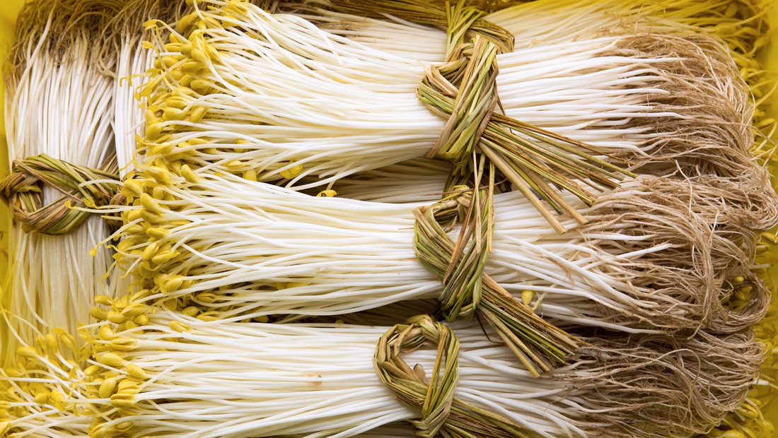 Bí mật thú vị của Ohori Onsen - loại giá đỗ dài hơn 2 gang tay: Trồng ở suối nước nóng, hơn 400.000 nghìn/kg-2