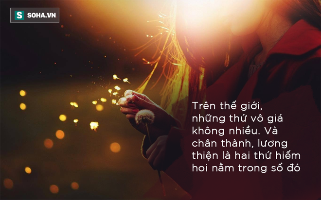 Chó cố tình nhận thua để cáo sống và cái kết ngoài dự đoán: Đáng đọc và ngẫm!-2