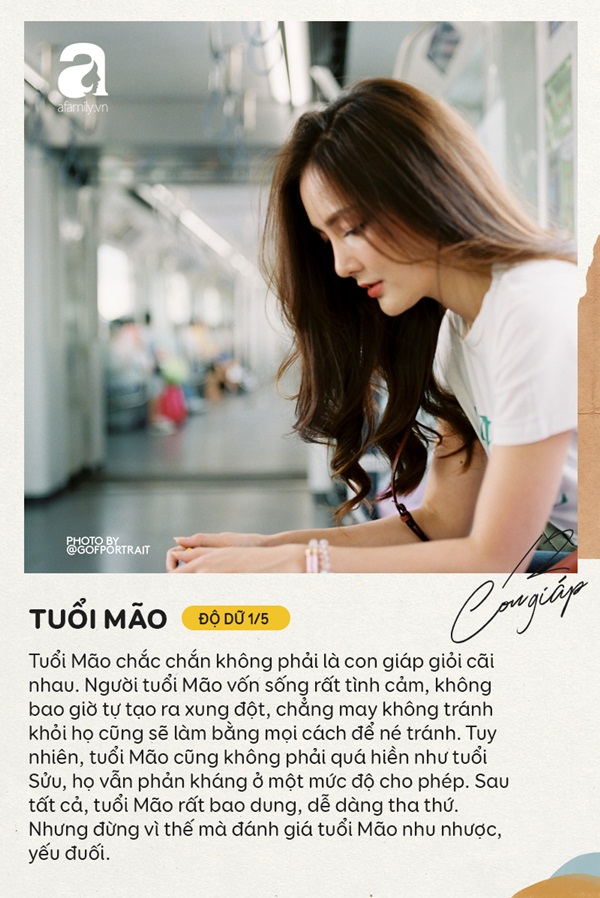 Xếp hạng độ dữ dằn của 12 con giáp khi cãi nhau, có người nhẹ nhàng cho qua, nhưng có những người đừng đụng vào, bạn sẽ thiệt thòi đấy-4