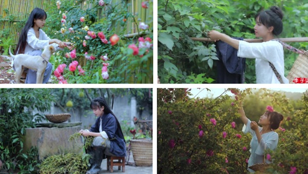 Tiên nữ đồng quê Lý Tử Thất: Đằng sau cuộc sống tiên cảnh vạn người ao ước là cuộc đời thăng trầm được xoa dịu bằng ẩm thực dân dã-9