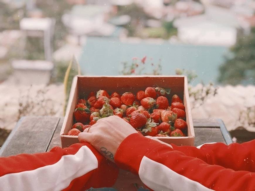 MC Hoàng Linh cùng bạn trai diện áo đôi trong loạt ảnh tình tứ tại Đà Lạt-7