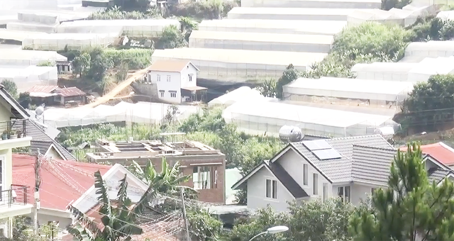 Giá đất Đà Lạt bị cò hét giá lên 1 tỷ đồng/m2-5