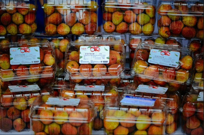 Được dự báo tăng giá gấp 3 lần năm ngoái, cùng xem giá vải ở các thành phố lớn chênh nhau như nào-6