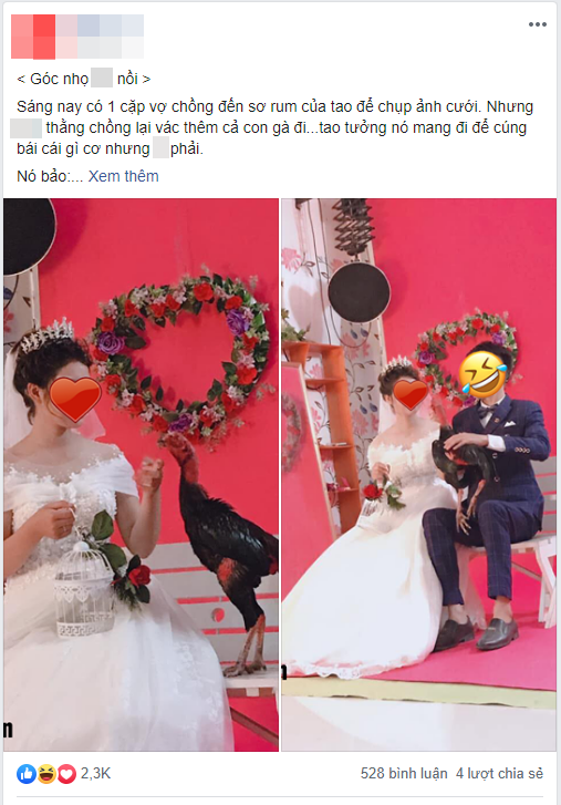 Dân mạng phì cười với cặp đôi mang gà chọi đi chụp ảnh cưới, nhưng bất ngờ nhất là kết cục do chú gà gây ra-1