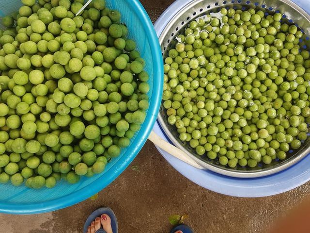 Sấu mất mùa mà ngày vẫn bán 2 tạ, thu về hơn 5 triệu-1