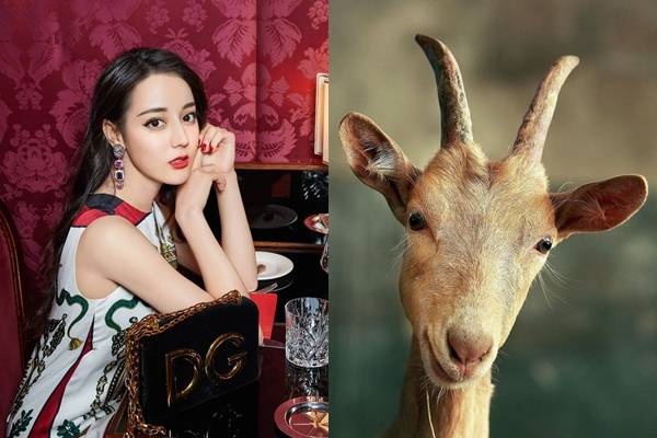 Trời sinh 3 con giáp nghèo khổ 1 lúc phú quý 1 đời, tháng 6 thăng hoa, cuối năm vượng phát-3
