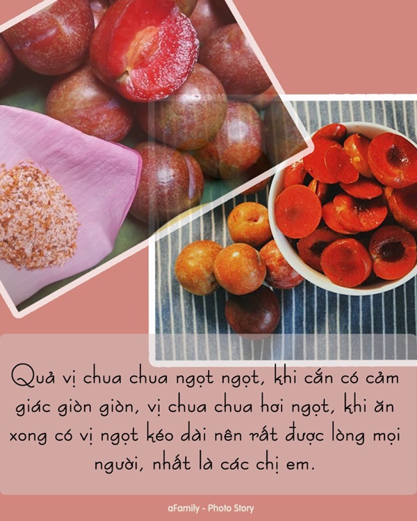 Nhiều người chọn ăn mận trong ngày Tết Đoan Ngọ hóa ra cũng là vì những lý do như thế này-3