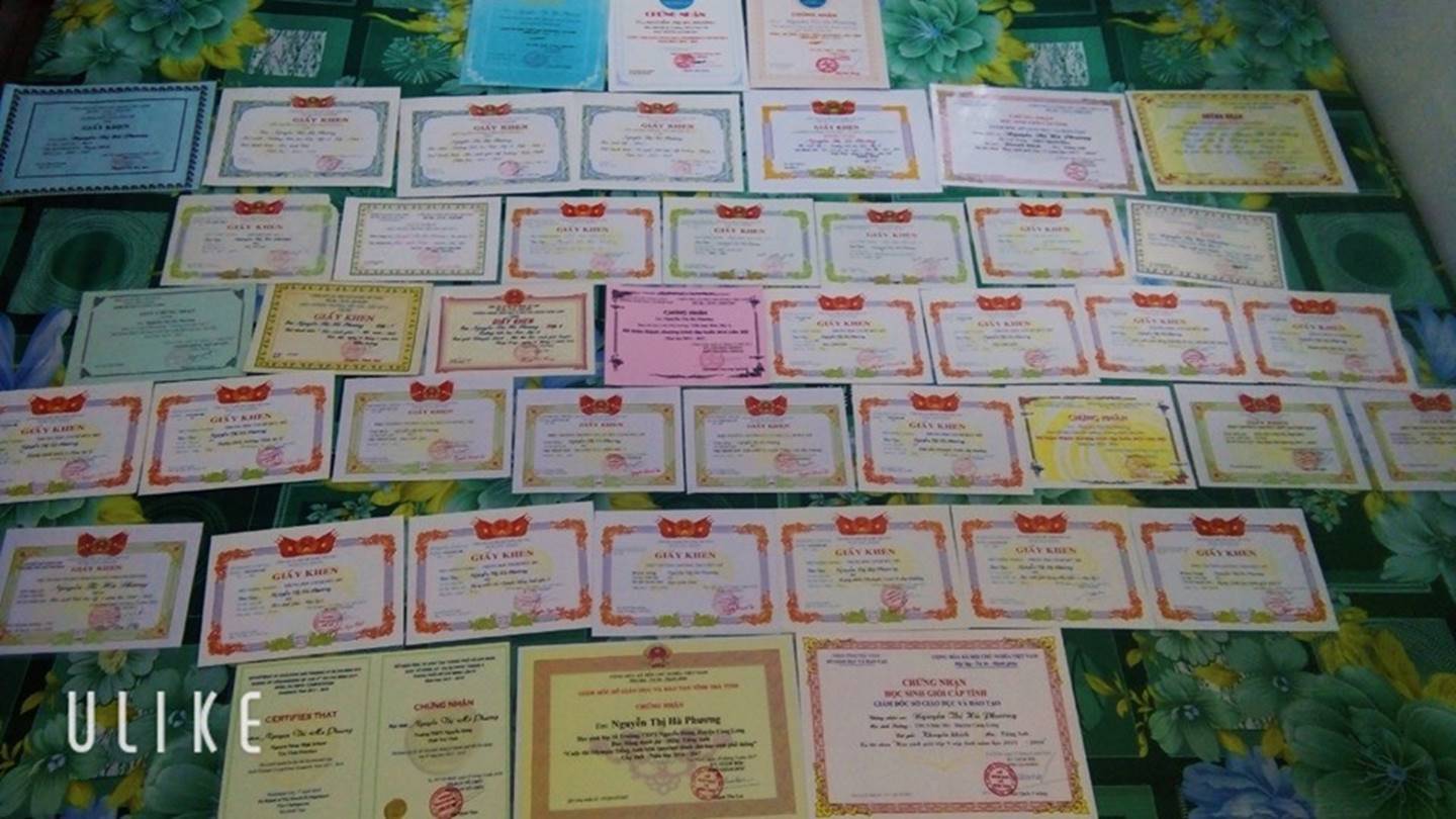 Khoe ảnh thành tích sau 12 năm đèn sách, cô gái khiến dân mạng tranh cãi: Giấy khen nhiều để làm gì, ra đời có giàu không?-2