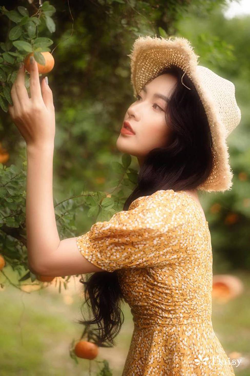 Cô gái Hải Phòng sắc nước hương trời, đẹp như thần tiên tỷ tỷ Lưu Diệc Phi-14