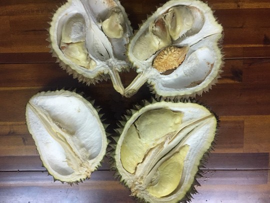 Sầu riêng rừng Campuchia rao 10.000 đồng nhưng bán tới 60.000 đồng/kg-2