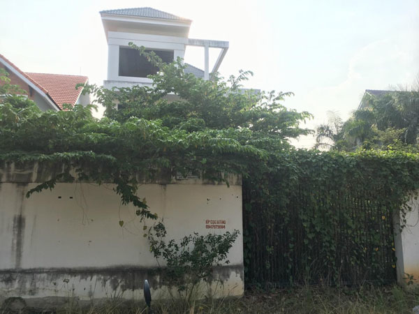 Cảnh ám ảnh trong biệt thự tiền tỷ, cỏ mọc um tùm ở Sài Gòn-2