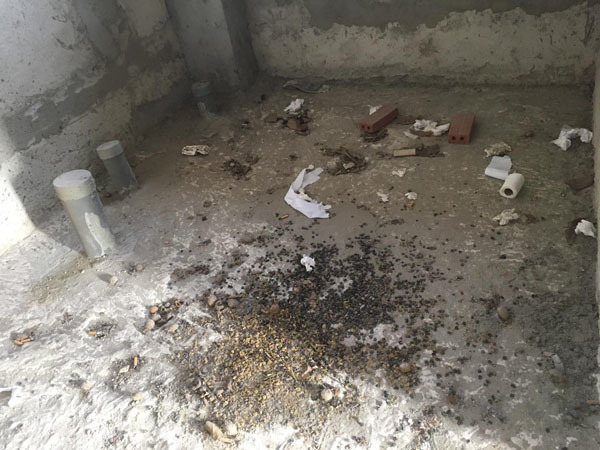 Cảnh ám ảnh trong biệt thự tiền tỷ, cỏ mọc um tùm ở Sài Gòn-4