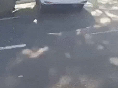 Clip: Xe khách và taxi ‘ăn miếng trả miếng’, rượt đuổi nhau như phim hành động-1