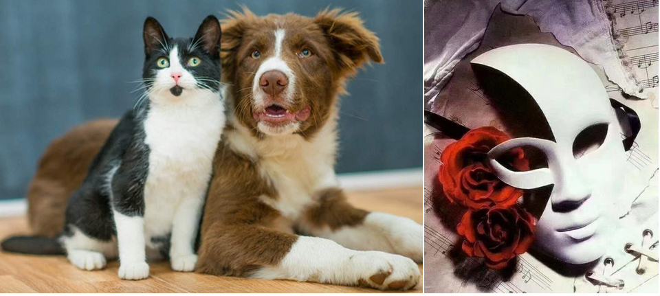 Selfie, thổi kèn và 12 điều cấm tại nơi diễn ra chung kết Kings Cup-3