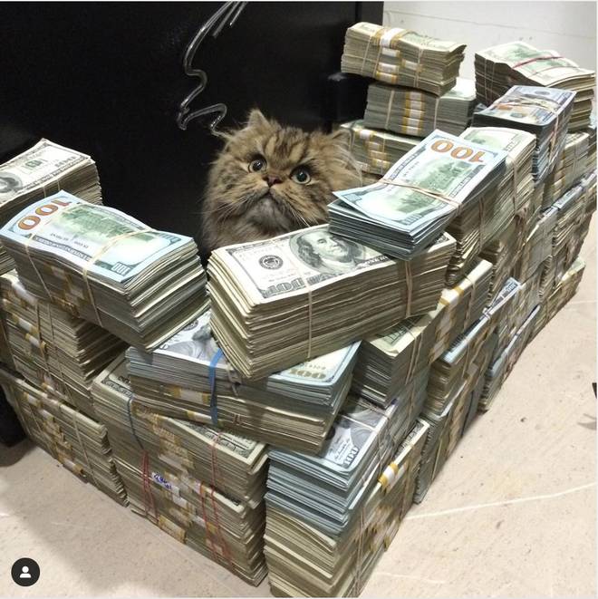 Cuộc sống xa hoa khét tiếng của ông hoàng nổi tiếng nhất nước Mỹ-4