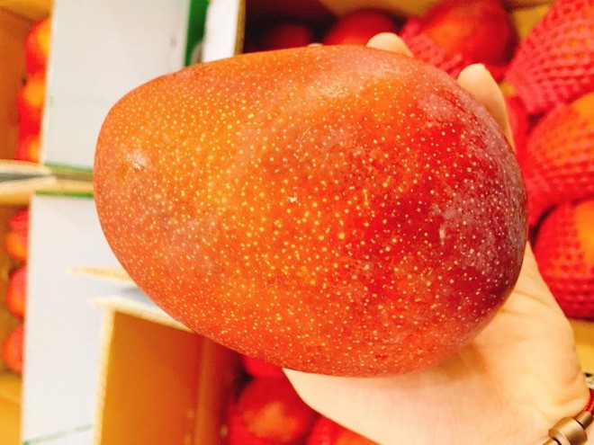 Diệt sâu bọ sang chảnh: Mận khổng lồ, đào Hàn Quốc bạc triệu vẫn cháy hàng Tết Đoan Ngọ-1