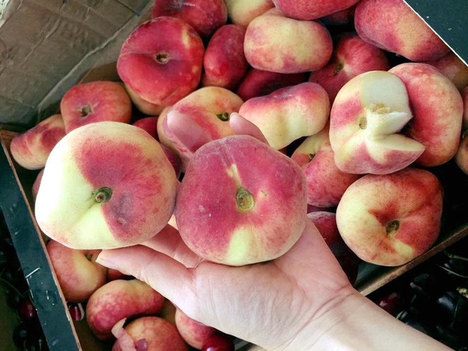 Diệt sâu bọ sang chảnh: Mận khổng lồ, đào Hàn Quốc bạc triệu vẫn cháy hàng Tết Đoan Ngọ-2